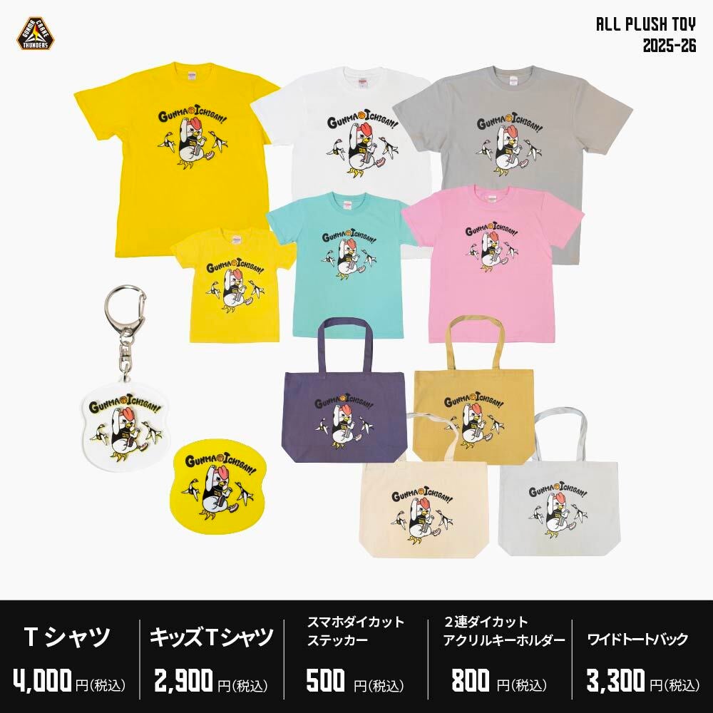 グッズ情報】12月20日(土)21(日) 広島ドラゴンフライズ 戦 注目の